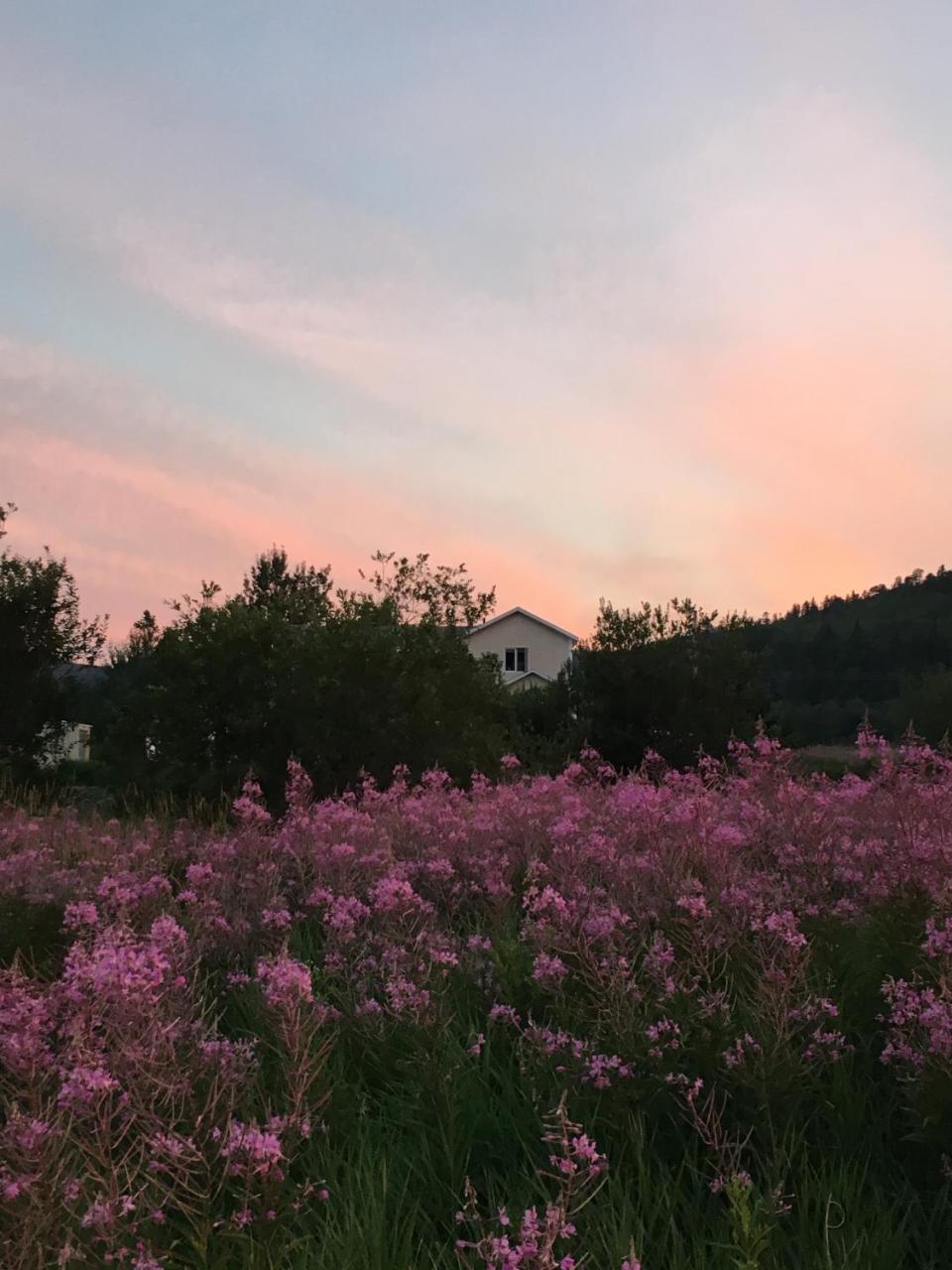 La Chouette Viree Bed & Breakfast Гранд Бержерон Екстериор снимка